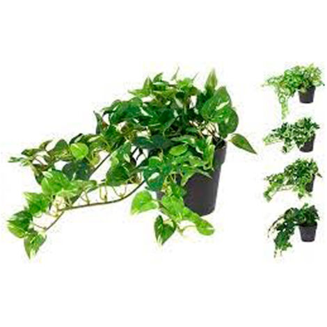 PLANTA ARTIFICIAL POTO 25 CM SURTIDA
