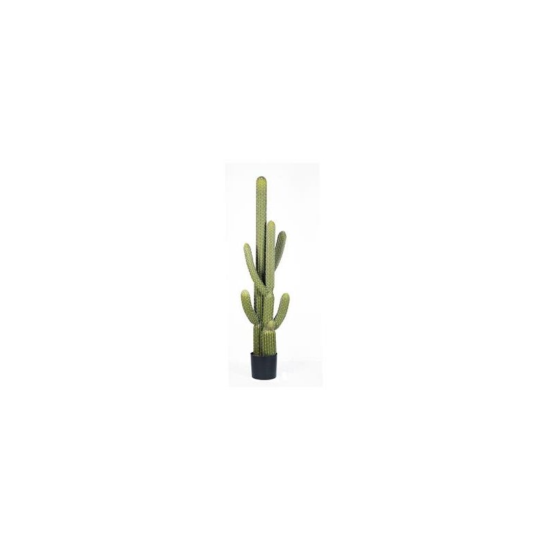 

Saguaro Cactus, PVC, Verde, 145 Cm - Catral