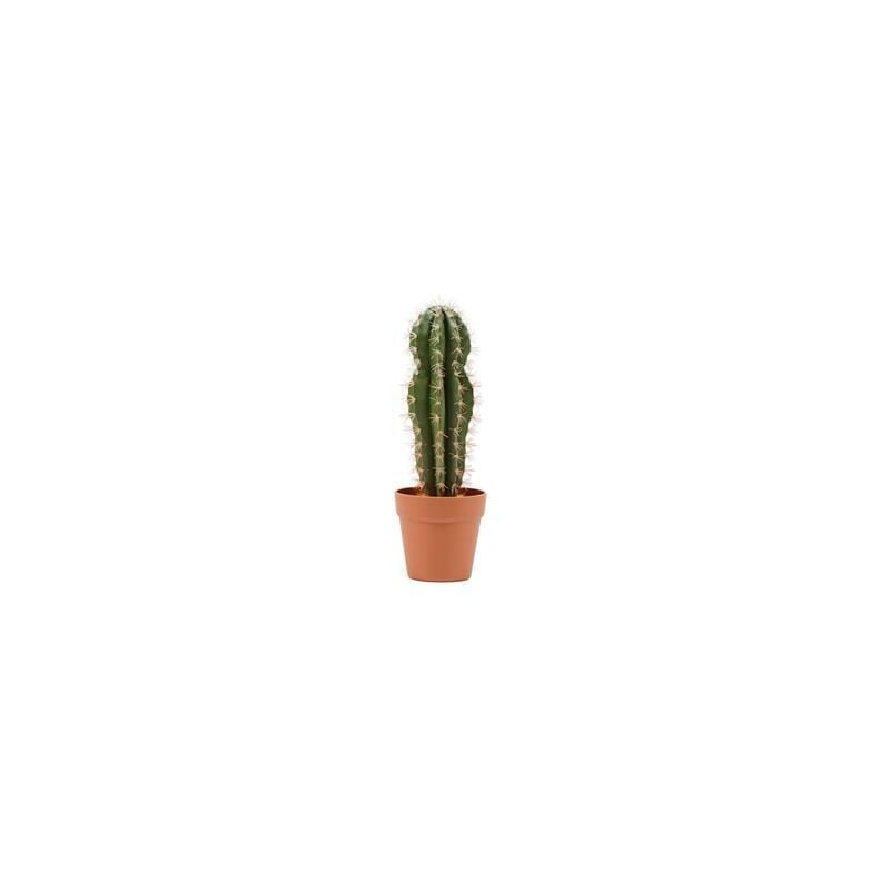 

Catral Cactus STETSONIA CORYNE, hogar, Verde, 43 Cm