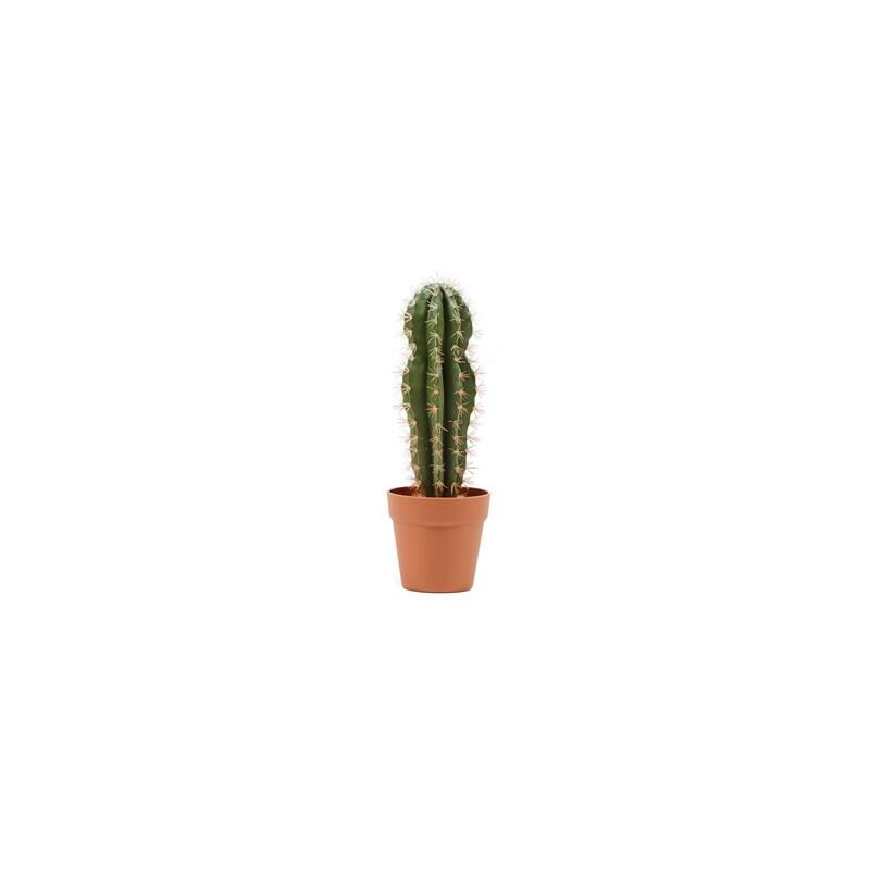 

Catral Cactus STETSONIA CORYNE, PVC, Verde, 64 Cm