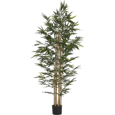 Planta Bamboo Con Maceta 80X80X192 Cm