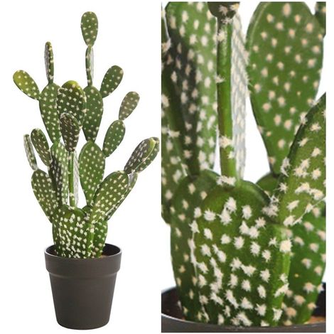 Planta Cactus Opuntia Artificial Con Maceta Realista Altura 56