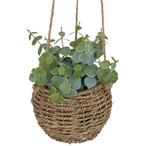 Planta colgante Zoe H17cm - Atmosphera créateur d'intérieur
