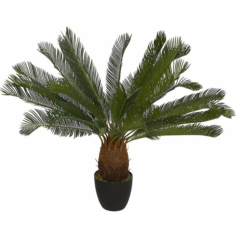 

Planta de piña Altura 93