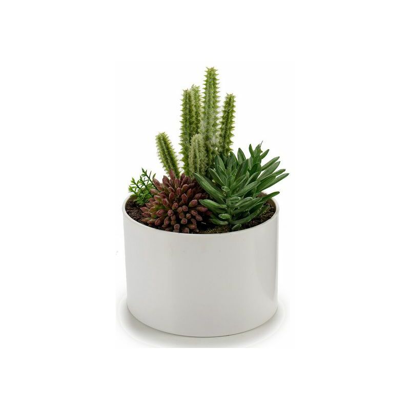 

Planta Decorativa (13 x 17 x 13 cm)