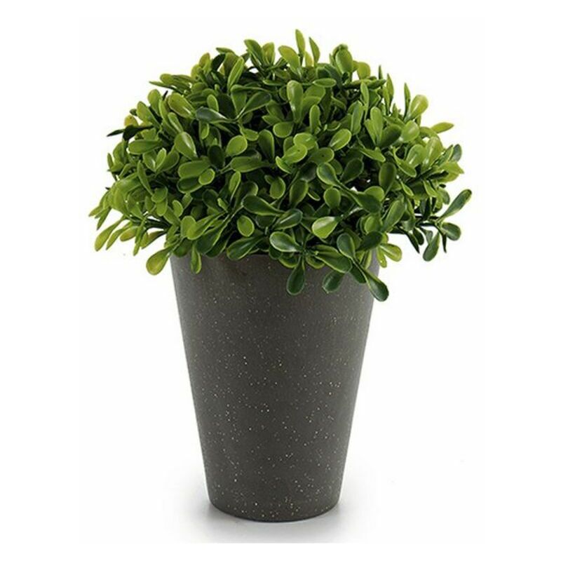 

Planta Decorativa (13 x 17 x 13 cm) Plástico