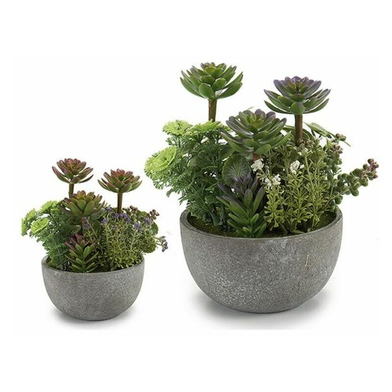 

Planta Decorativa (16 x 23 x 19 cm)