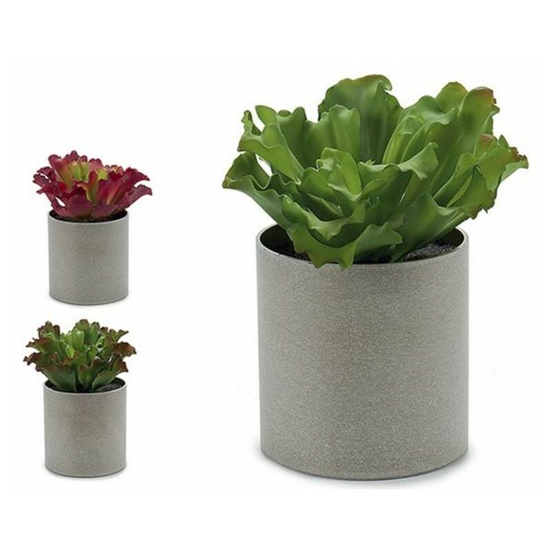

Planta Decorativa (20 x 25 x 20 cm)