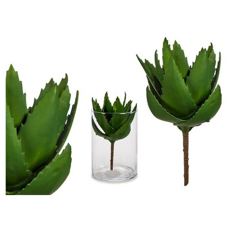 

Planta Decorativa Aloe Vera (14 x 23 x 14 cm)