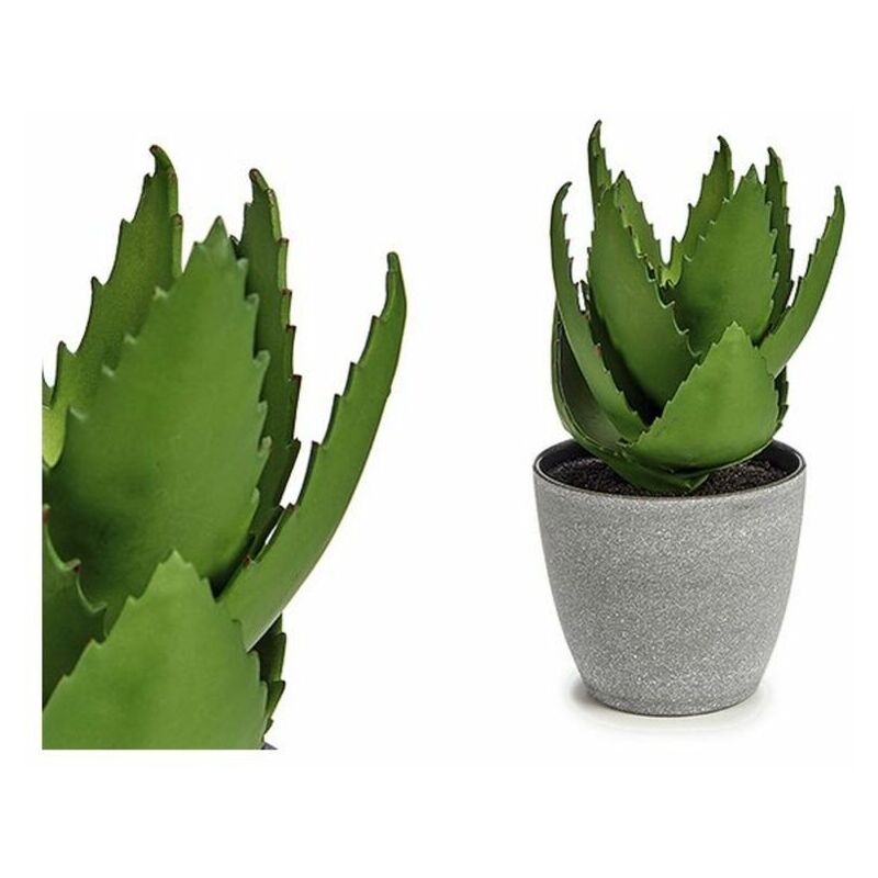 

Planta Decorativa Aloe Vera Plástico (14 x 23 x 14 cm)