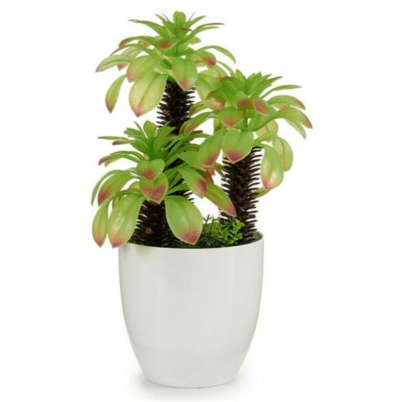 

Planta Decorativa Blanco (17 x 31 x 17 cm) - Ibergarden