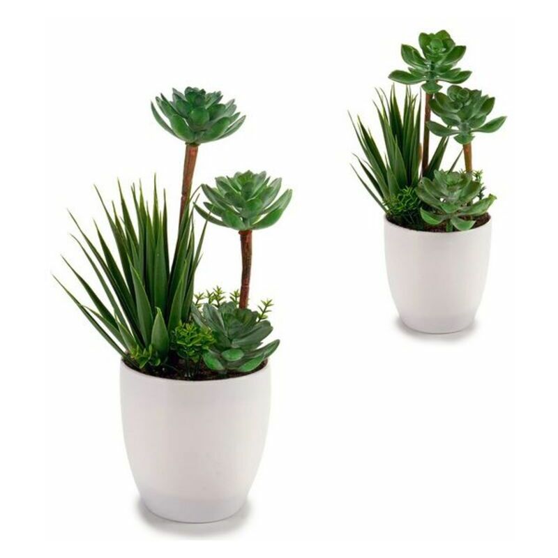 

Planta Decorativa Blanco Plástico (11 x 24 x 11 cm)