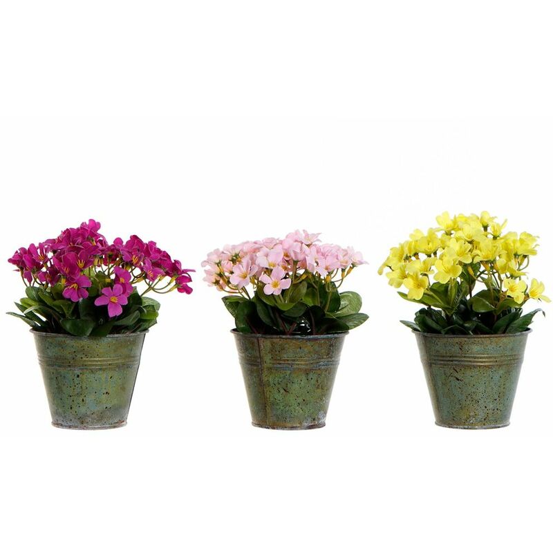 

Planta Decorativa DKD Home Decor Amarillo Rosa Metal Polietileno Fucsia (3 pcs)