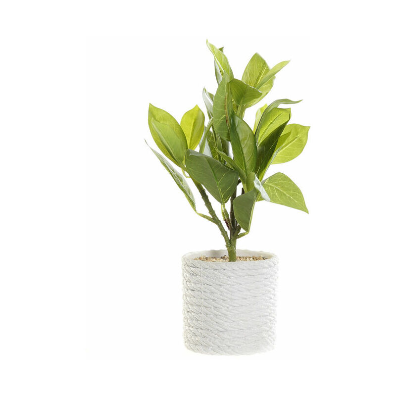 

Planta Decorativa DKD Home Decor Blanco Verde PVC EVA (23 x 23 x 30 cm)