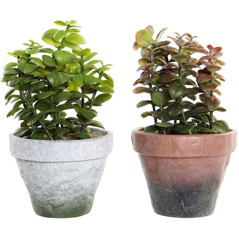 

Planta Decorativa DKD Home Decor Gres Polipropileno (PP) EVA (2 pcs) (16 x 16 x 29.5 cm)