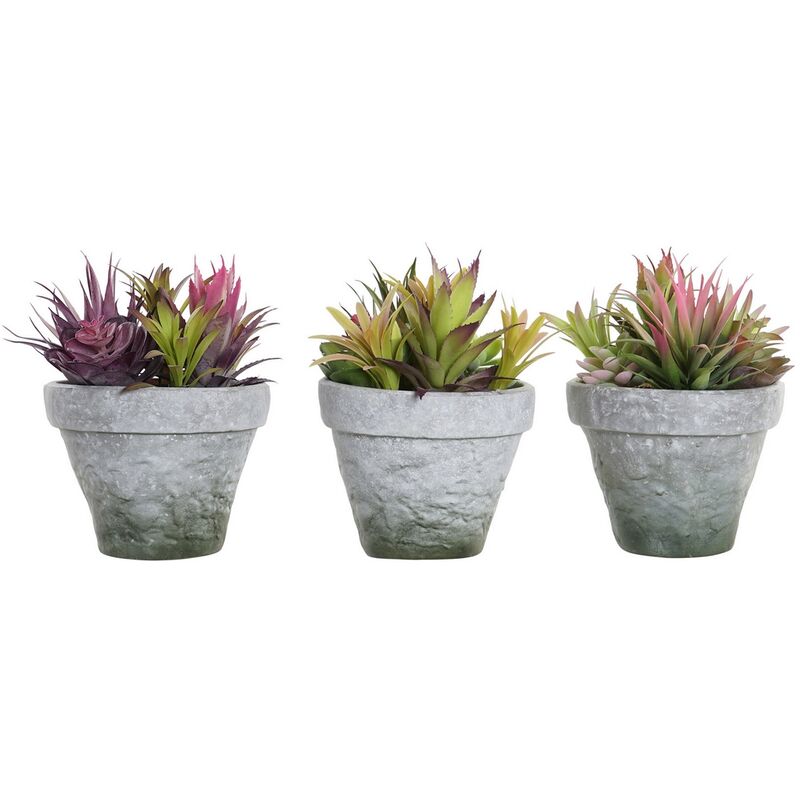 

Planta Decorativa DKD Home Decor Gres Polipropileno (PP) EVA (3 pcs) (20 x 19 x 22 cm)