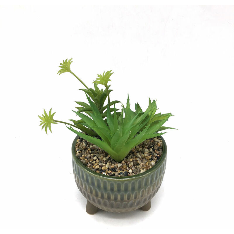 

Planta Decorativa DKD Home Decor Verde PVC Gres (16.6 x 16.6 x 24 cm)