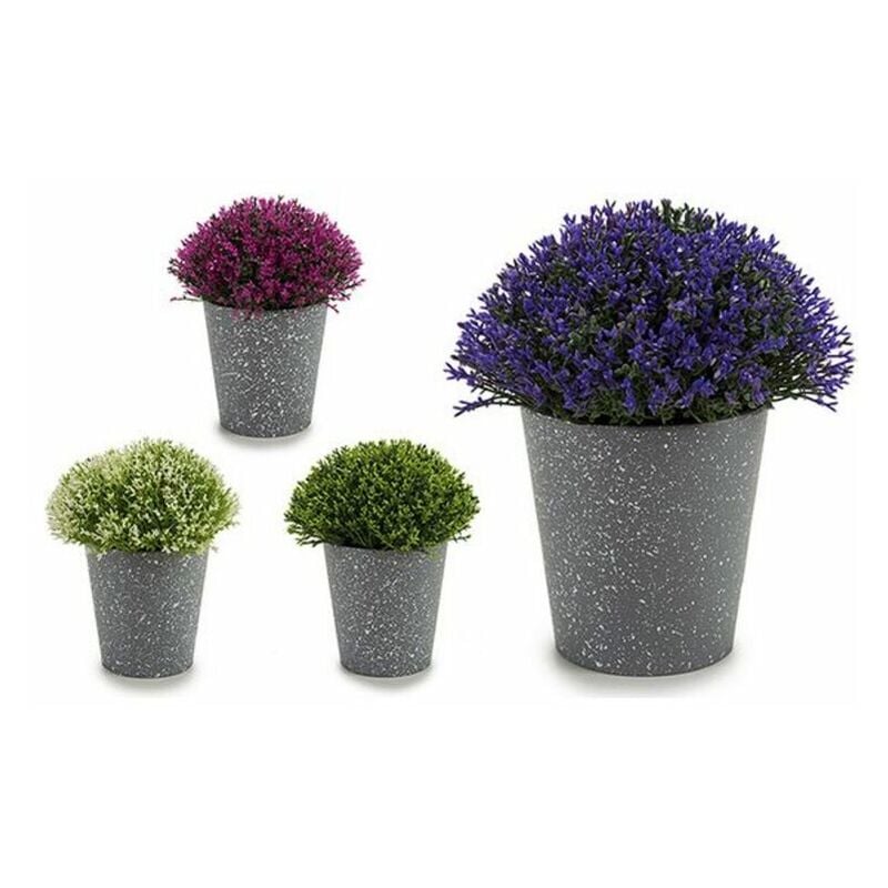 

Planta Decorativa Gris Plástico (14 x 15 x 14 cm)