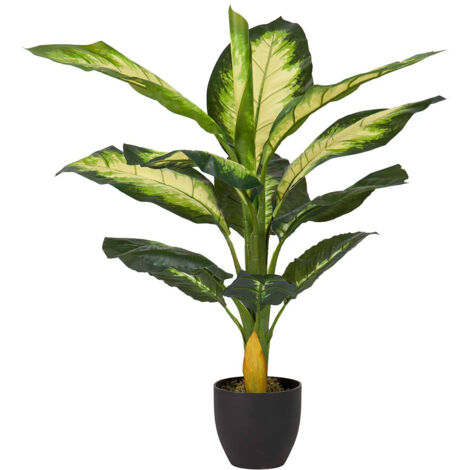 Planta Dieffenbachia Dotied 55X55X100 Cm