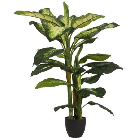 Planta Dieffenbachia Dotied Con Maceta 55X55X130Cm