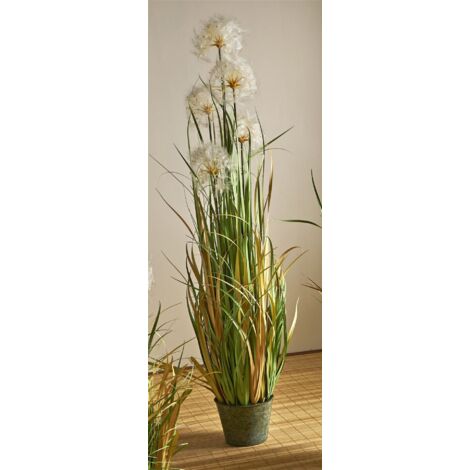 Planta Diente De Leon 150 Cms. 150 Cms