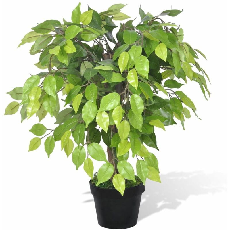 

Planta enana artificial de ficus en maceta, 60 cm