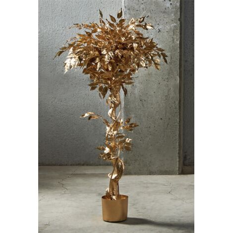 Planta Ficus Benjamin Oro 135 Cms. 78X135 Cms