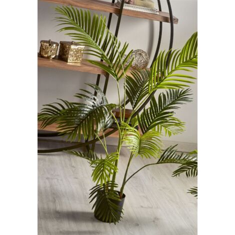 Planta Kentia 140 Cms. 140 Cms
