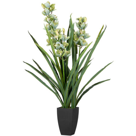 Planta Orquidea Cymbidium 70X70X110 Cm