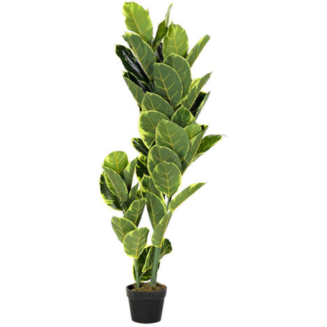 Planta Pe 40X40X120 Hevea Verde JA192392