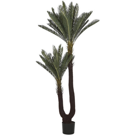 Planta Pe 80X80X170 Sago Cycas Verde