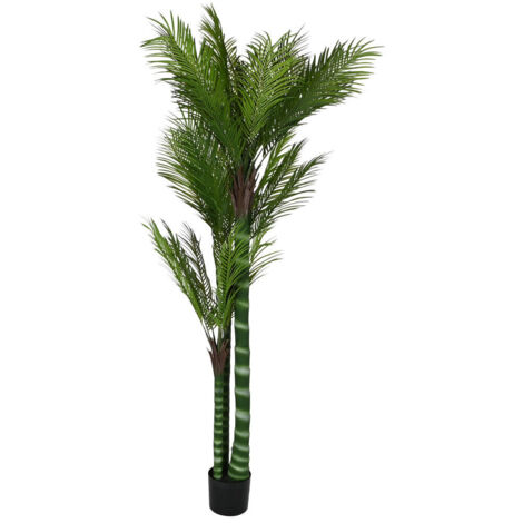 Planta Pe Cemento 100X100X235 Palmera Verde