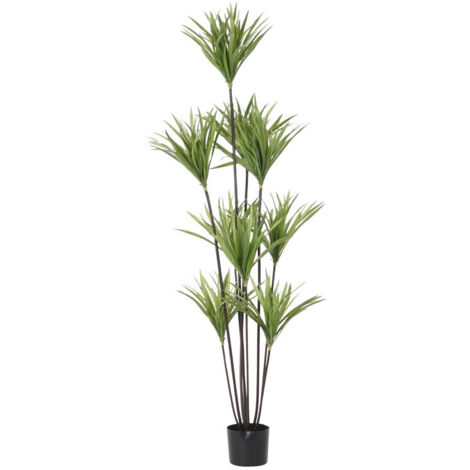 Planta Poliester Pp 75X75X180 Dracena Verde JA192601
