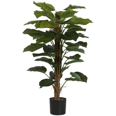 Planta Rhadhidophora Aureum 65X65X140 Cm