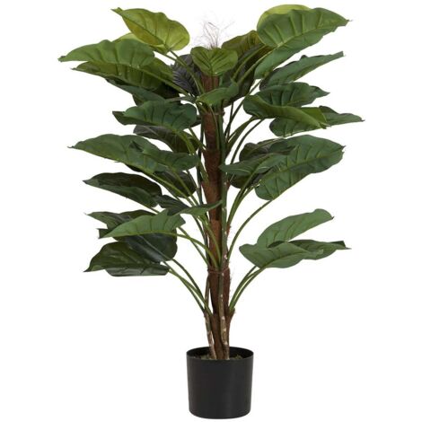 Planta Rhadhidophora Aureum 80X80X170 Cm