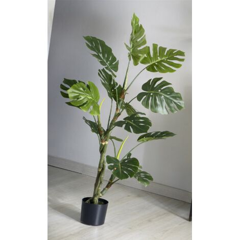 Planta Split Philo 140 Cms. 140 Cms