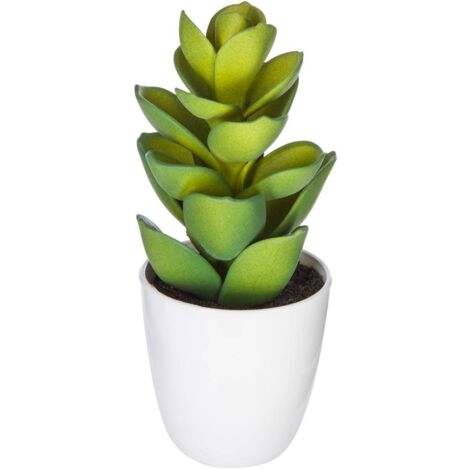 Planta suculenta y cactus H18cm - Atmosphera créateur d'intérieur