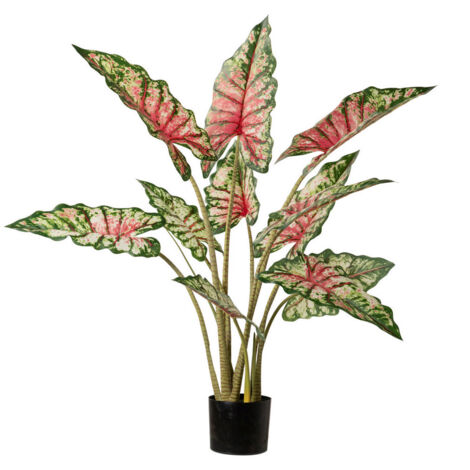 Planta Taro Tabby Con Maceta 80X70X100 Cm