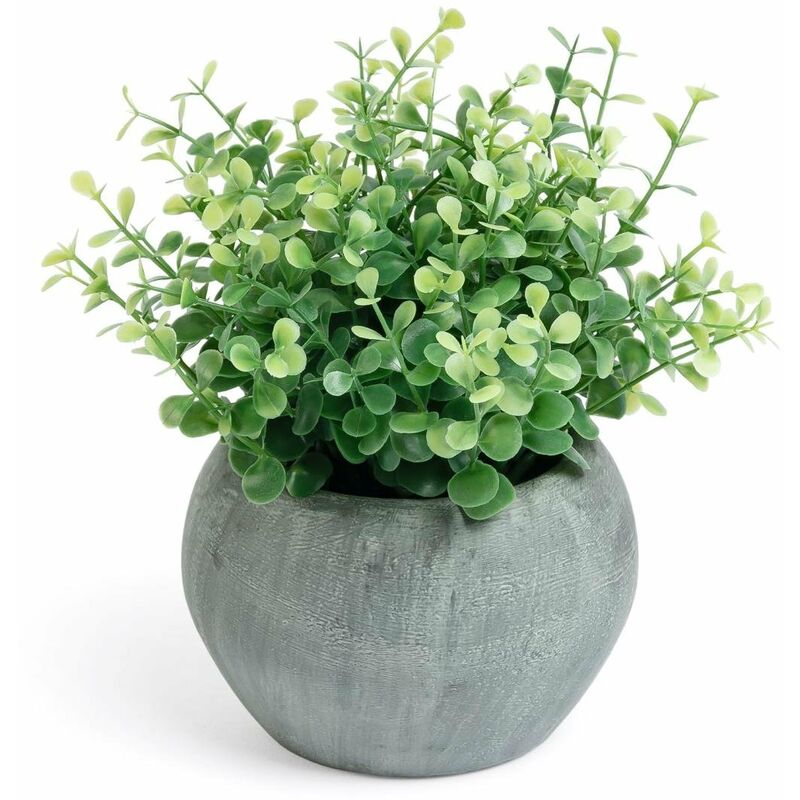 

Planta artificial Eucalipto con maceta gris 19 cm - Kave Home
