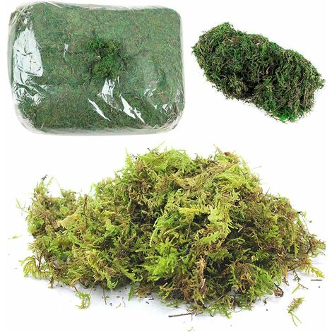 Plantas artificiales LangRay 800g musgo artificial, liquen para decoración,  plantas verdes simuladas, decoración del patio del jardín del hogar,  pasatiempos creativos