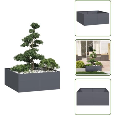 Plantas - vidaXL Jardinera acero gris antracita 100x100x40 cm - Flores