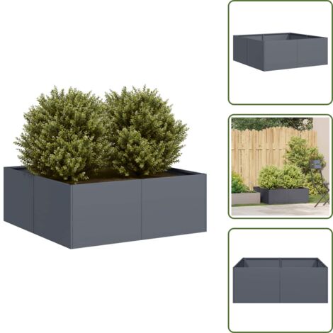 Plantas - vidaXL Jardinera acero gris antracita 80x80x30 cm - Flores