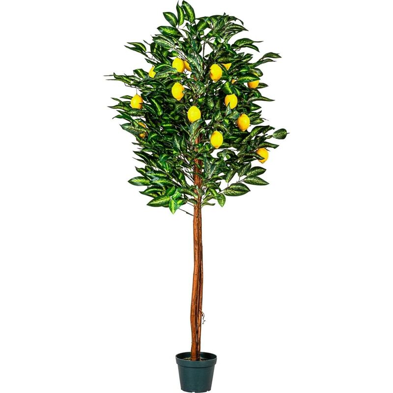 Plantasia® Citronnier artificiel 180 cm, tronc en bois véritable, 30 branches & 20 fruits
