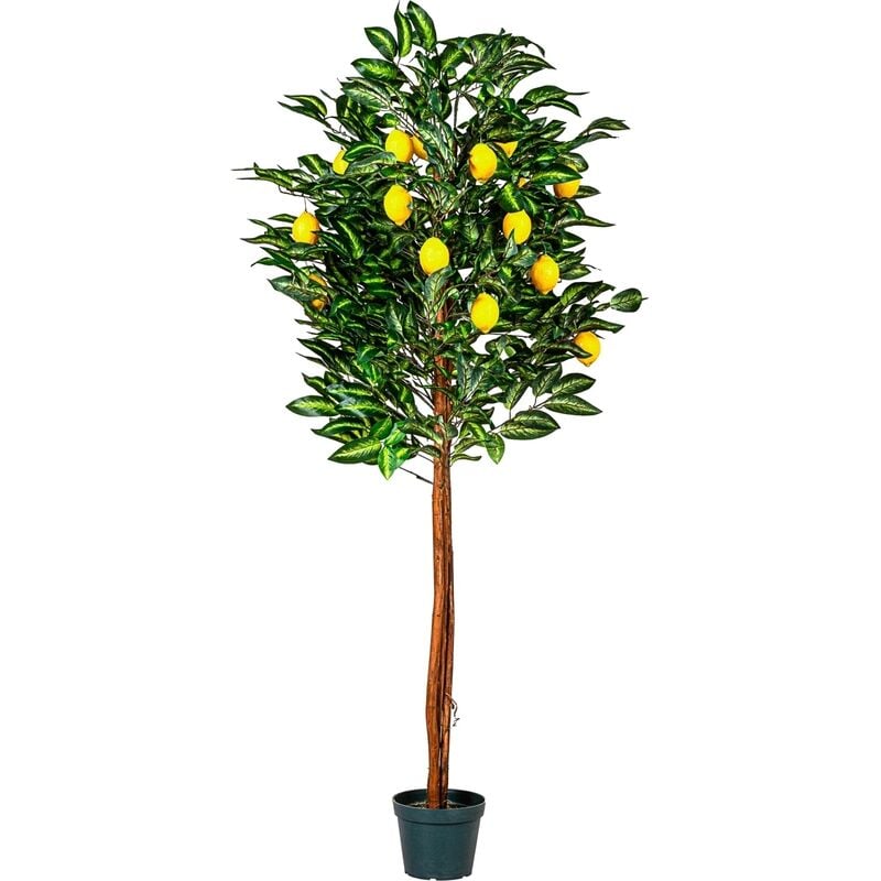 Plantasia - Citronnier artificiel 180 cm, tronc en bois véritable, 30 branches & 20 fruits