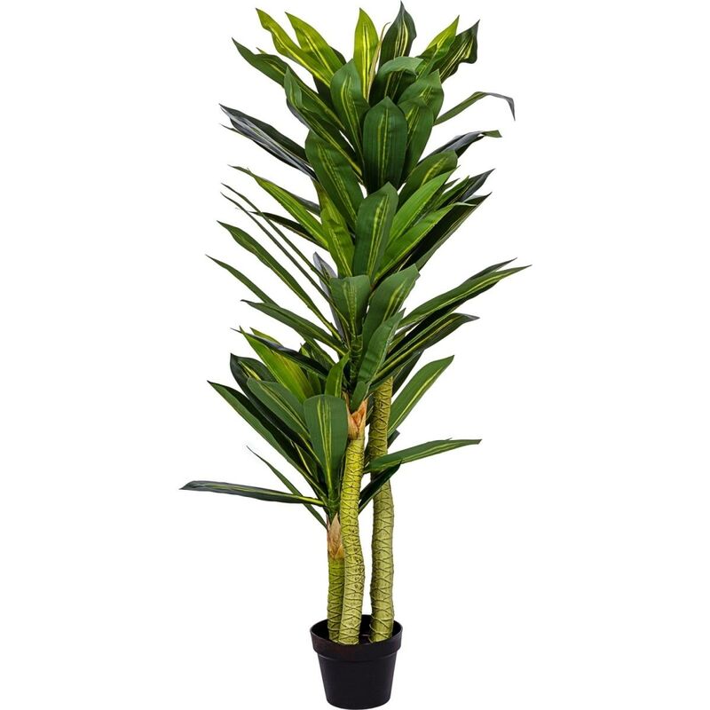 Plantasia® Dragonnier artificiel 120 cm, tronc en bois véritable, 81 feuilles et 3 troncs