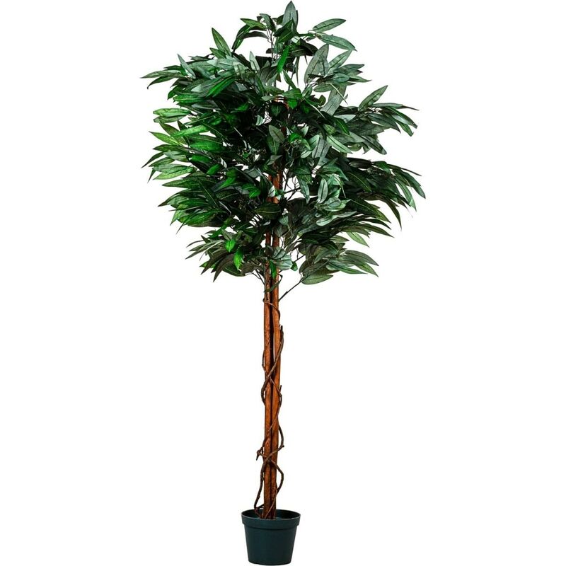 Plantasia® Manguier artificiel, tronc en bois véritable, choix de taille, 180 cm, 840 feuilles