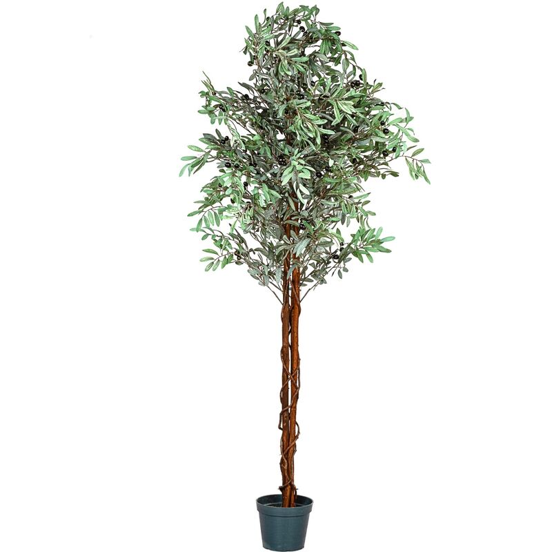 Plantasia - Olivier artificiel 180 cm, tronc en bois véritable, 2256 feuilles et fruits