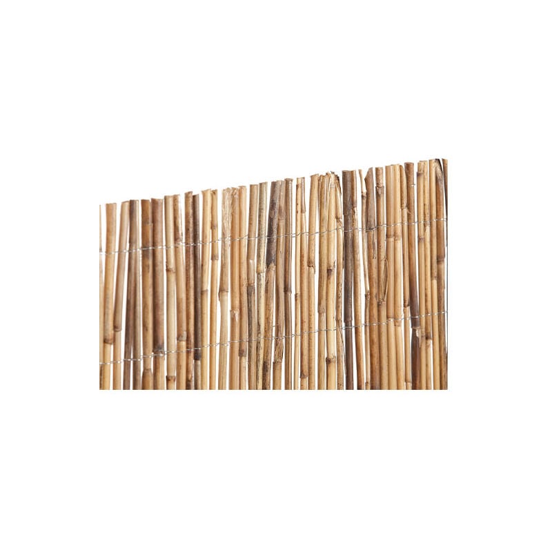 

Cañizo Bambú Entero 1.5x5m - Plantawa