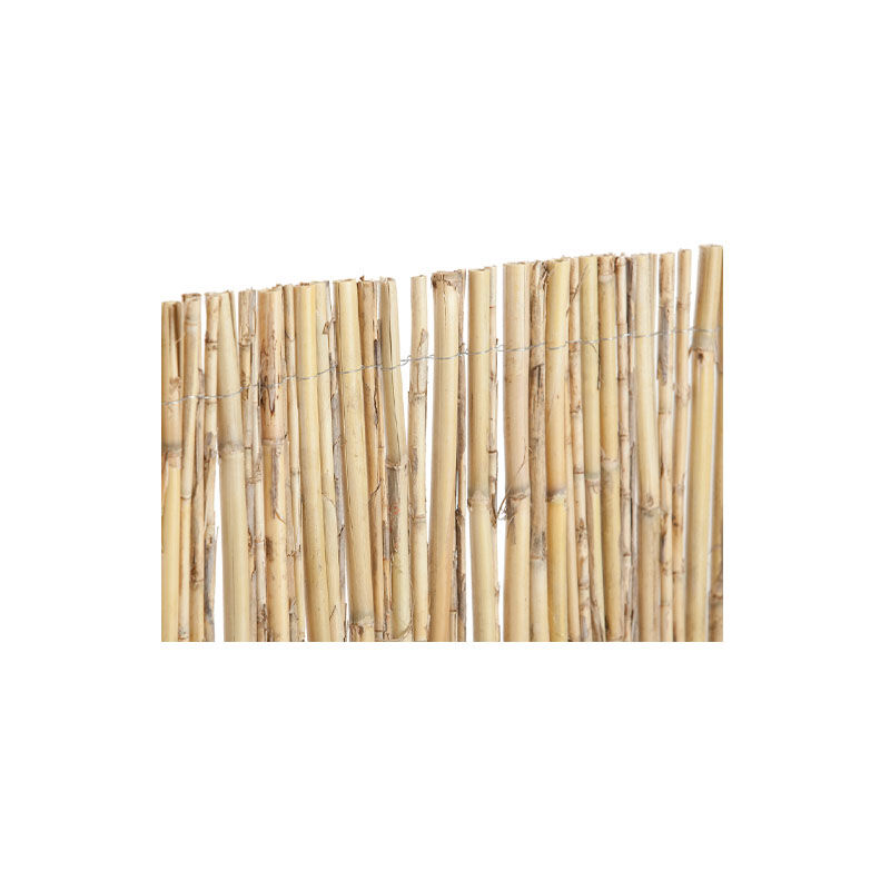 

Cañizo Caña Entera 15x5m - Plantawa