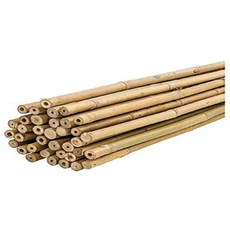 PLANTAWA Canne di Bambù 60 cm Confezione 25 Unità Ø 6-8 mm  Paletti per Piante di Pomodoro, Ortaggi e Alberi  Paletti per Piante di Varie Dimensioni. Resistenti Canne di Bambù
